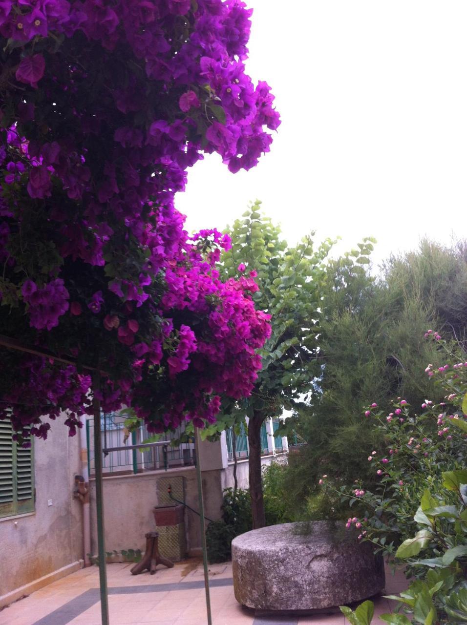 La Fattoria Pension Sciacca Buitenkant foto
